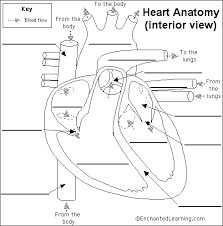 heart - iftikhar ul haq